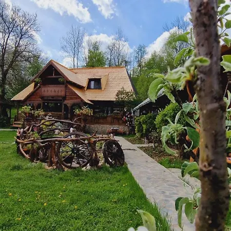 Pensiunea Rustic Onceşti